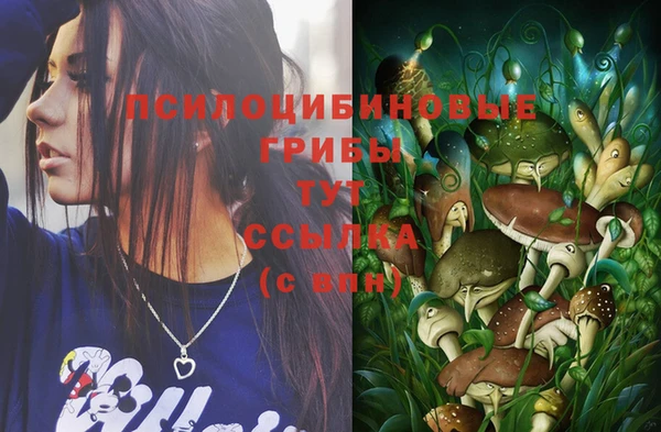 прущие грибы Каменка