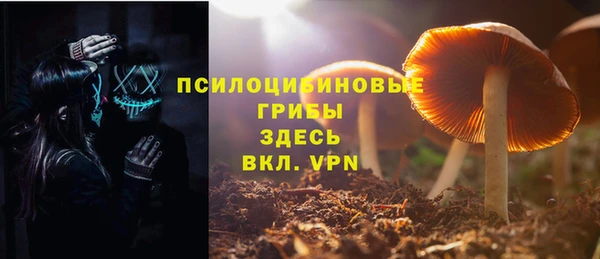 прущие грибы Каменка