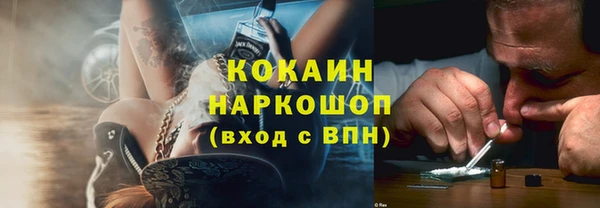 прущие грибы Каменка