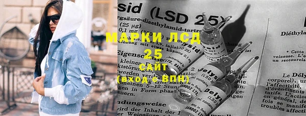 прущие грибы Каменка