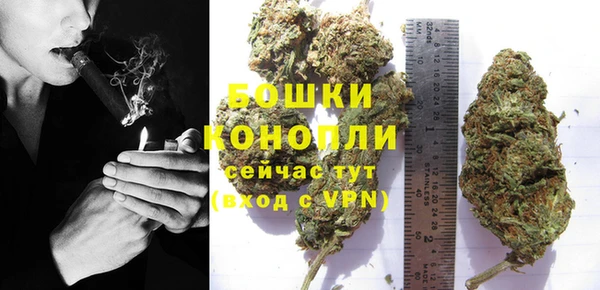 прущие грибы Каменка