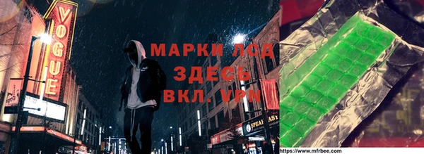 прущие грибы Каменка