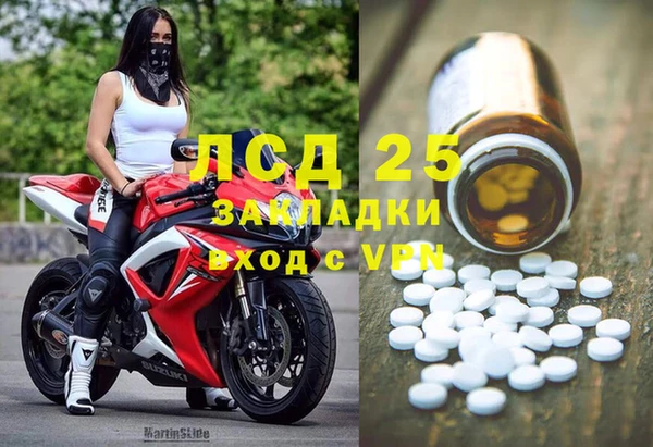 прущие грибы Каменка